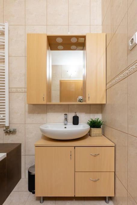 S22 Apartment Budapest Luaran gambar